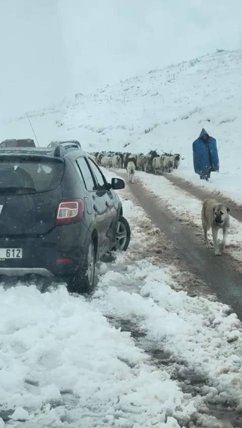 3 ilimiz beyaz örtüyle kaplandı! Kar kalınlığı 26 santimetre 2